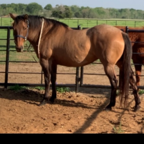 Meet your Posher, Leann - Picture 7 of 11